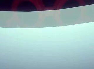 Vampire sunflower is fucking with a guy’s horniness