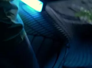 猫女网袜淫夜口交冒险