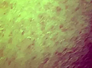 Amateur BBW With Big Tits And Curvy Body Masturbating With Dildo And Toys