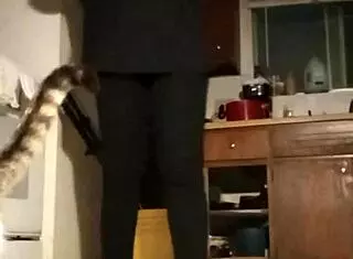 Let’s pump up the volume and workout to music together!