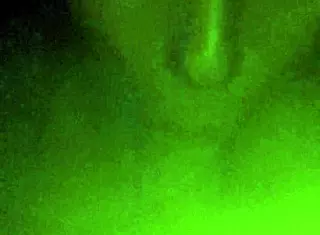 girlfriend sucking my cock like a slut in this hot video