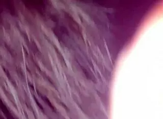 bbw whore sucks monster cock