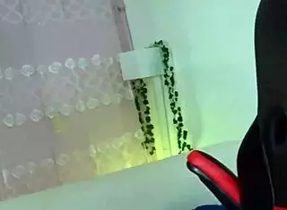 Helena has fun with two friends