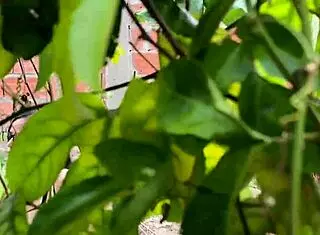 Almost caught doing something with my cousin