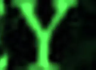 beautiful teen 18+ squirts all over 😍 homemade fun