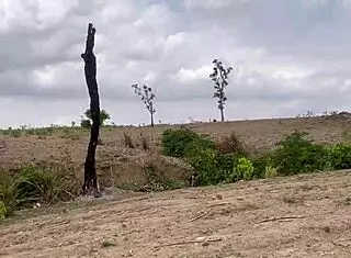 Fuck Me In The Forest!