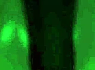 faranne lets me touch her big tits and sits on my face as punishment