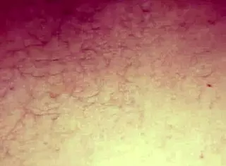 i'm a hairy bbw babe with big tits, tryin anal after years, gettin oiled and fucked hard