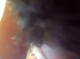 My girlfriend gives me a sloppy blowjob in the bedroom.