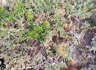 Rough Fuck Doll Moans During Web Chat, Gets Cum In Mouth On Cliff By The Sea