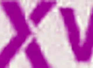 florane russell and emma fantasy in rough dap dp with piss and deepthroat