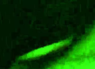 Woman hides face in affair