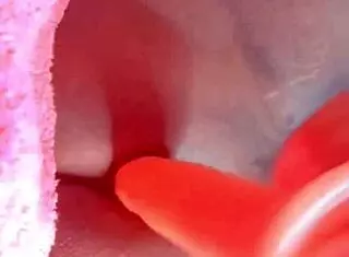 I love this sweet trans ass getting fucked with dildo and toys, oh my god it's so hot.