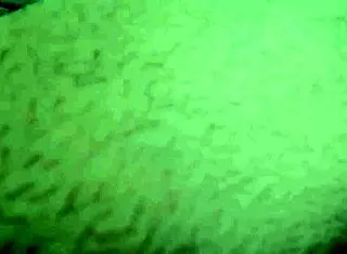 passionate colombian stepsiblings share intense doggystyle creampie