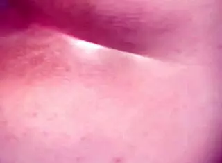 Cogida De Perrito Mientras Anda En Sus Días