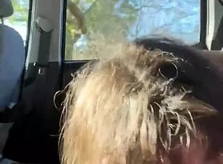 slim thick streetwalker with perfect tits gets fucked in public