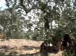 Homemade amateur fuck with two new girls!