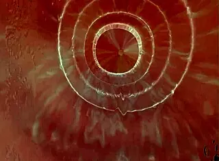 Monster cock inserts into tight pussy in VR.