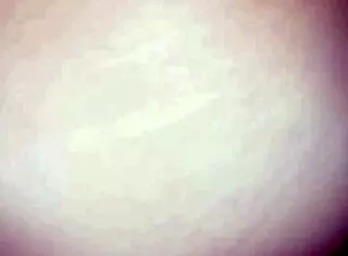 拉丁妹狗爬式翘臀肛交