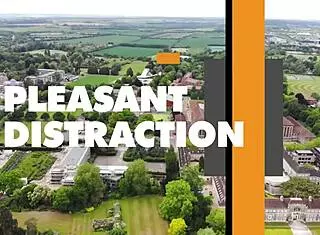 Tiffany Tatum sucks cock outdoors in POV