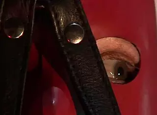 suzanne kelly has the best titties in class