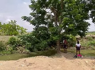 an adventure in the forest