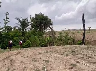 an adventure in the forest