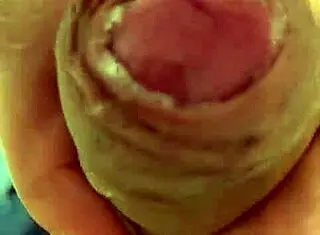 Pekeshow1620 Update 14 On Mar 05 2025