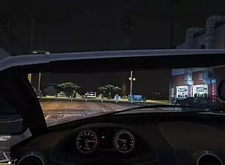 Emotional First-Person Hooker Experience In GTA 5