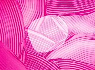 Sexy latina babe gives footjob while masturbating her pussy close up