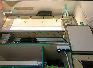 Hot babe's ass in pink skirt 😍