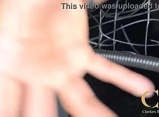 Christy Evansx and Amorzinho in Homemade Blowjob with Big Cock and Cum