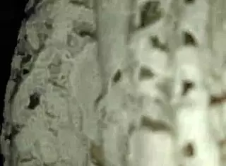 Ex girlfriend in stockings takes monster cock like a whore