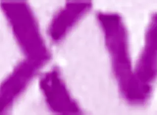 Leila Botwin takes piss in mouth during intense anal 😈