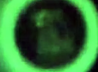 I watch SparksXXX do pussy play on webcam, it's so hot I can't stop staringg.