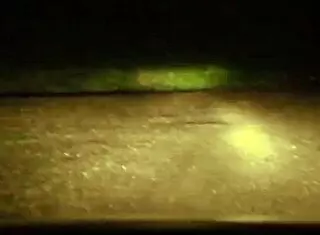 walking naked and having sex while camping outdoors