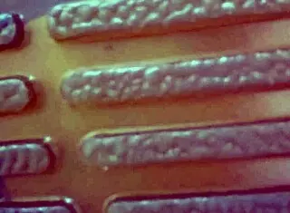 Chuymaury's Ball Busting Session with Domme Mommy in Stockings and Pantyhose