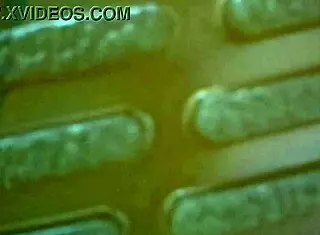 Chuymaury's Ball Busting Session with Domme Mommy in Stockings and Pantyhose