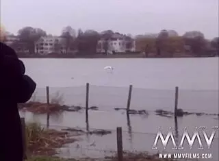 Erotic Harlots Taking Large Dicks in Retro Hardcore Scenes