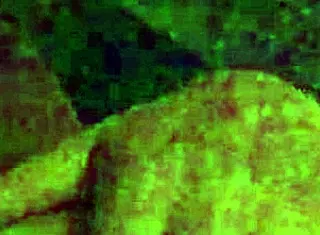 I Woke Up Horny, Craving A Deepthroat Swallow