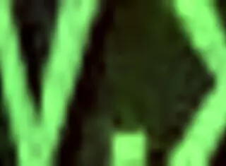 Bbw Gives Titty Fuck Reward For Voting!