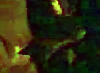 I Woke Up Horny, Craving A Deepthroat Swallow