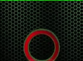 Curvy Cutie Fit Sydney Shines Bright