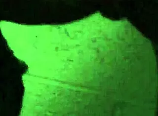 Neighbor's wife fucks in basement. Ebony milf gives oral, creampie, and cum in mouth.