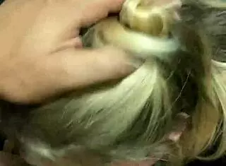 Deepvane sucks dick in the public bathroom of a cinema