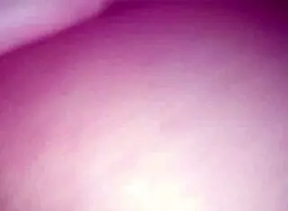 The Salon Otaku Shares Her Story