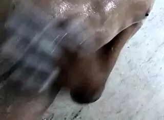 Enjoying Handjob with Monster Cock