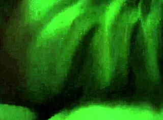 Did you see me fucking my 39-year-old neighbor?