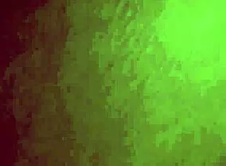 Freaky stepsis kimmy granger takes a dick