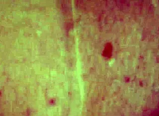 tied and teased housewife begs for attention